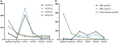 Nutritional support therapy for liver transplantation in an adult-onset type II citrullinemia patient: a case report